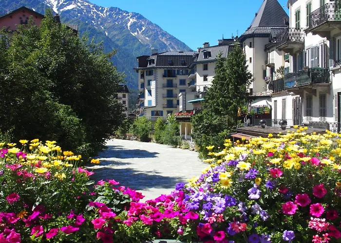 Apartman Sud - Grepon 315 - Happy